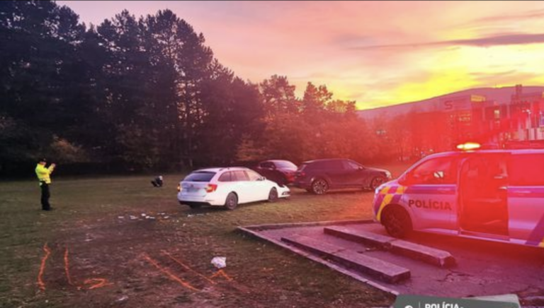 Autentické zábery: Pozrite si, ako policajti ‘stiahli z obehu‘ zdrogovaného vodiča - Doprava - Auto - Pravda