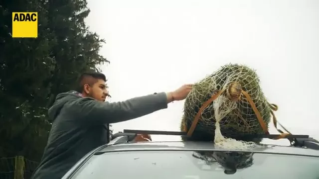 Jak přepravit vánoční stromek? Dodržte 5 základních pravidel | Auto.cz