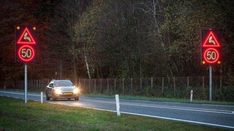 V Kanade aj v EÚ testujú systém, ktorý vás s predstihom upozorní, ak sú na ceste zvieratá - Magazín - Auto - pravda.sk