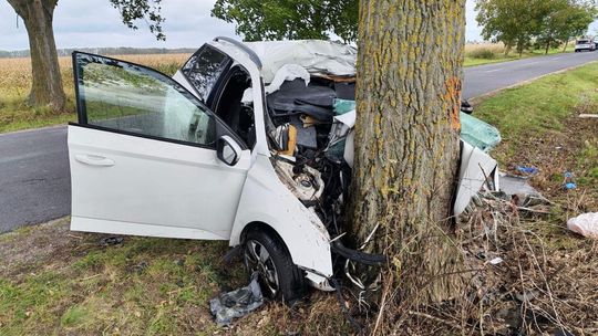 Tragická nehoda na juhu Slovenska. Vodič prišiel o život - Doprava - Auto - pravda.sk