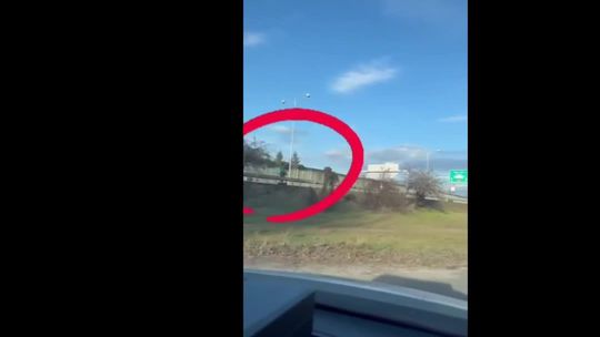 VIDEO: Veselo po diaľnici. Policajti na D1 ratovali život riskujúceho kolobežkára - Doprava - Auto - pravda.sk