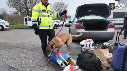 VIDEO: Masová kontrolná akcia na kľúčových dopravných ťahoch. Tisíce kontrol, výsledky vás prekvapia - Doprava - Auto - Pravda