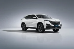Dongfeng