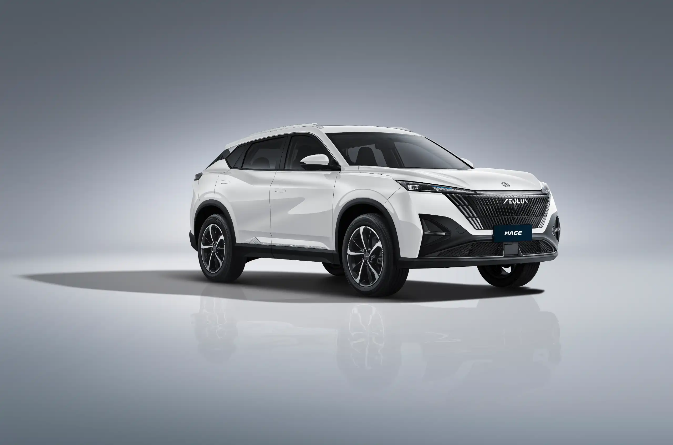 Dongfeng