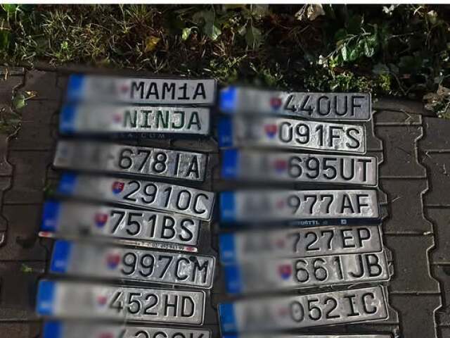Búrka v Bratislave strhávala evidenčné čísla. Polícia ich našla desiatky - Doprava - Auto - pravda.sk