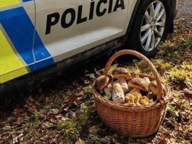 Idete na huby? Polícia upozorňuje na 5 chýb, ktoré robia vodiči pri parkovaní. Robíte ich aj vy? - Poradňa - Auto - pravda.sk