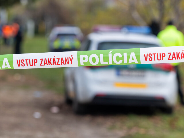 Tragédia pri Bratislave. Motocyklista sa zrazil so zverou, potom prišiel ďalší náraz. Starší muž neprežil - Doprava - Auto - pravda.sk