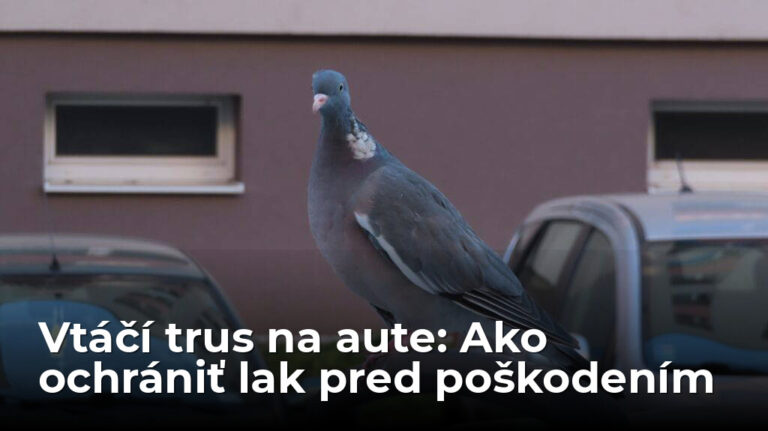 Nočná mora každého motoristu: Vtáčí trus neničí lak kyselinou, ale teplom. Ako zachrániť auto? - AUTOVINY.sk