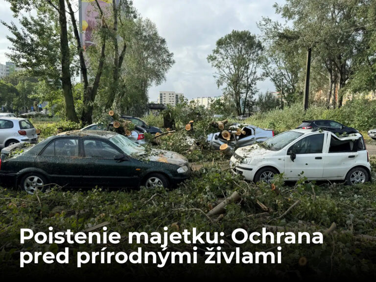Máte poistený majetok? Prírodné živly spôsobujú Slovákom obrovské škody